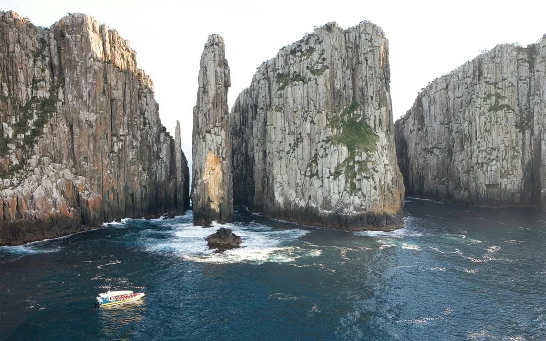 Full-Day Tasman Island Tour with Cruise and Lunch from Hobart Image 4