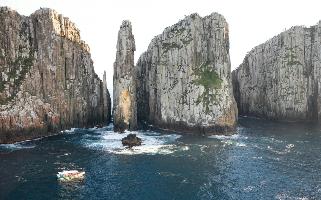 Full-Day Tasman Island Tour with Cruise and Lunch from Hobart Image 4