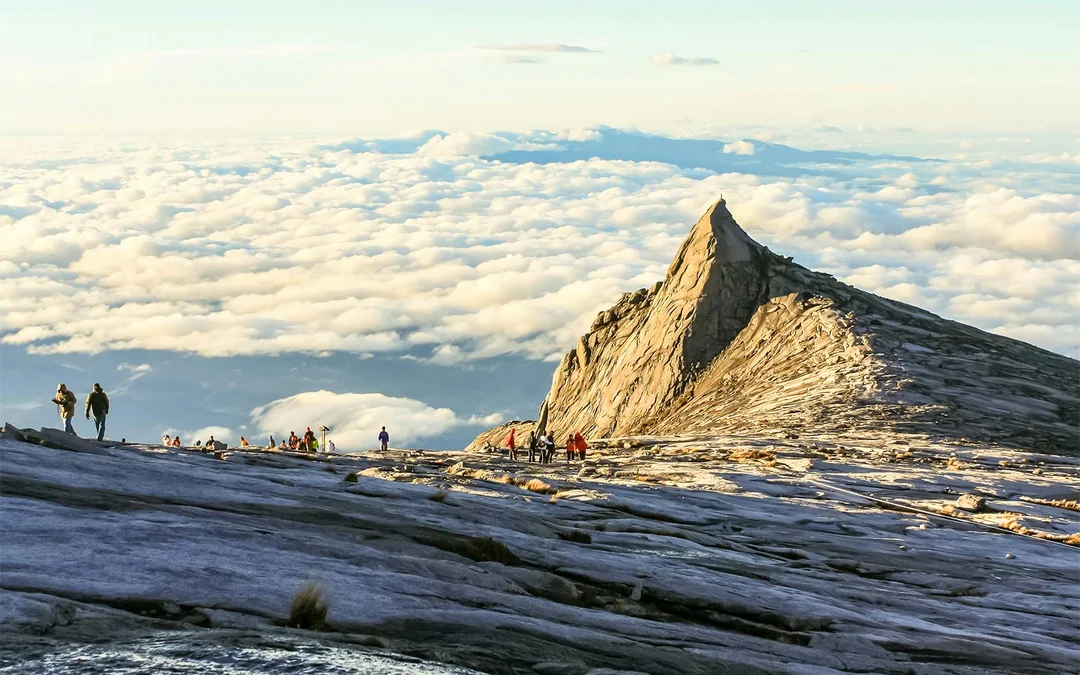 Full-Day Tour of Mount Kinabalu with Desa Dairy Farm & Poring Hot Springs Visit Image 1