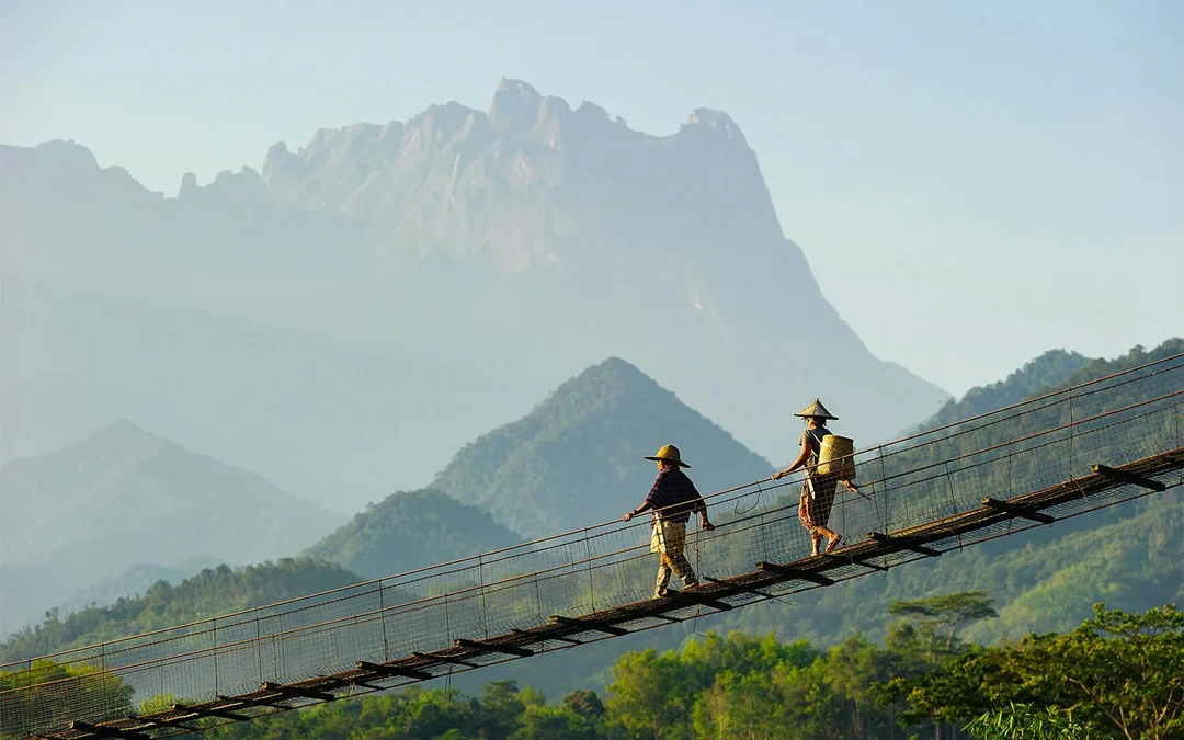 Full-Day Tour of Mount Kinabalu with Desa Dairy Farm & Poring Hot Springs Visit Image 2