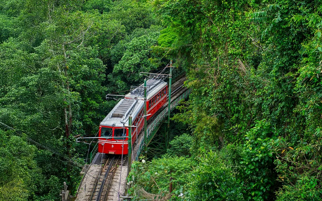 Full-Day Tour of Rio: Christ the Redeemer, Sugarloaf Mountain, Selarón Steps and More Image 5