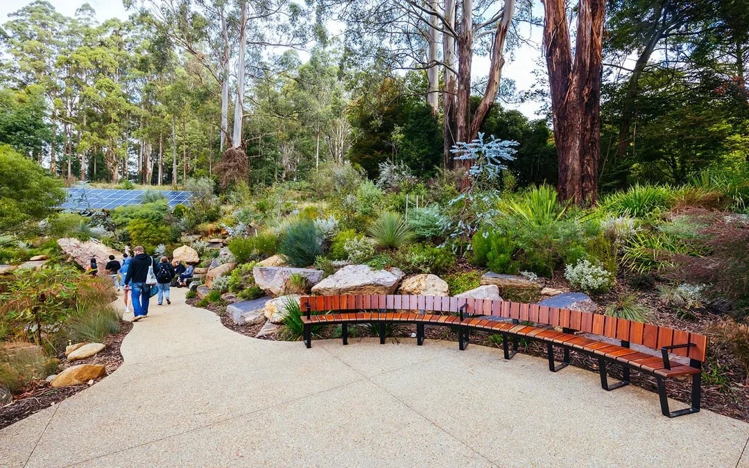 Full-Day Tour of Yarra Valley & Dandenong Ranges with Lunch Image 10