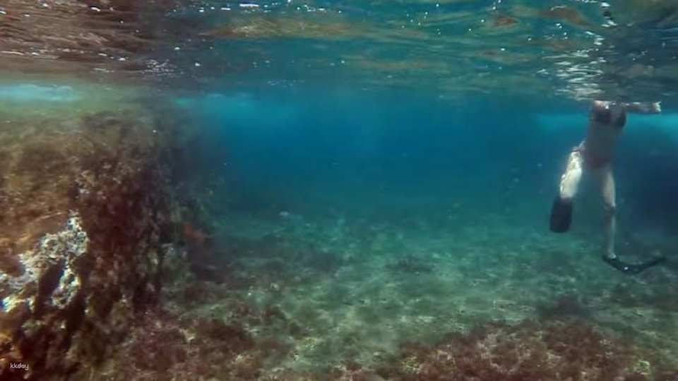 Full-day watching tour with lunch and snorkeling at the Princess Ring