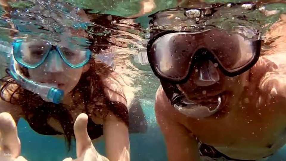 Full-day watching tour with lunch and snorkeling at the Princess Ring