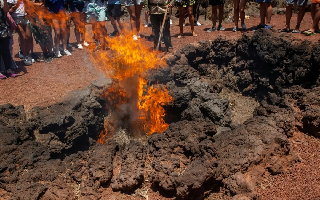 Full Island Highlights Tour: Timanfaya, El Golfo, Jameos del Agua & Cueva de los Verdes Image 7