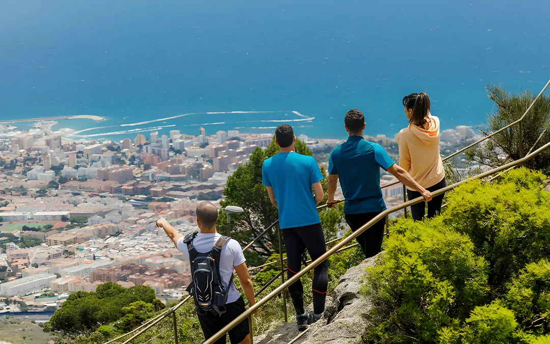 Full Pack: Selwo Marina + Selwo Aventura + Benalmádena Cable Car Image 5