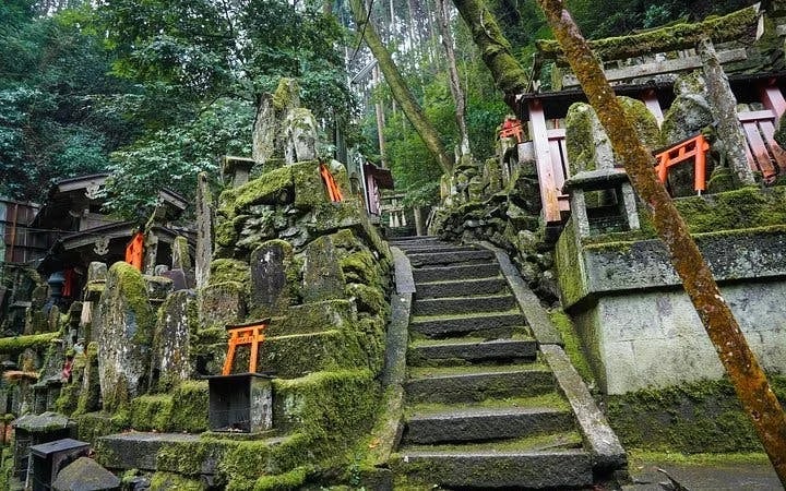 Fushimi Inari Hidden Hiking Tour (Private Option Available) Image 6