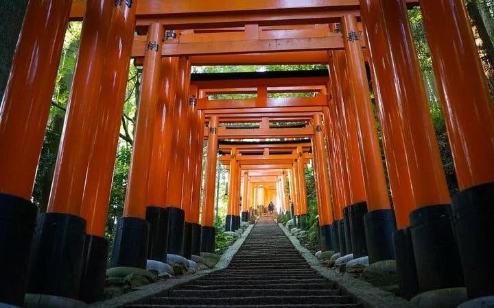Fushimi Inari Hidden Hiking Tour (Private Option Available) Image 7