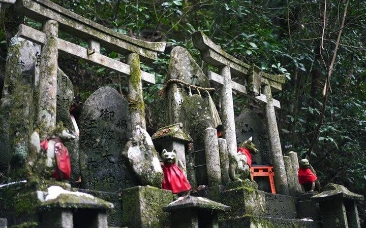 Fushimi Inari Hidden Hiking Tour (Private Option Available) Image 8