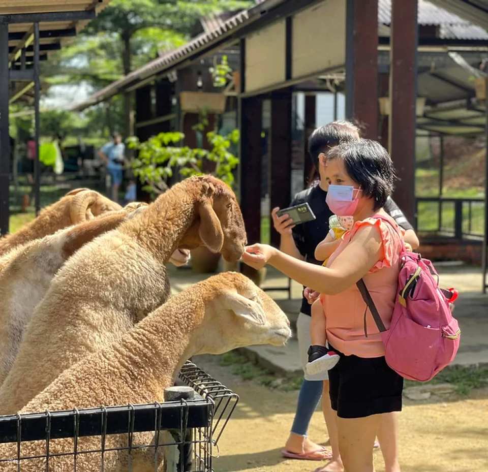 G2G Animal Garden Ticket | Selangor