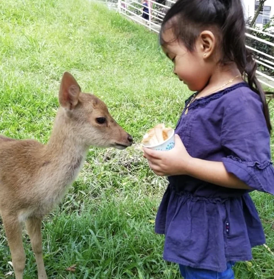 G2G Animal Garden Ticket | Selangor