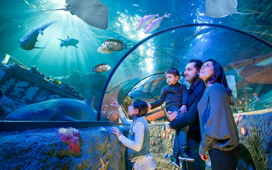 Gardaland Sea Life Aquarium Entry Tickets Image 1