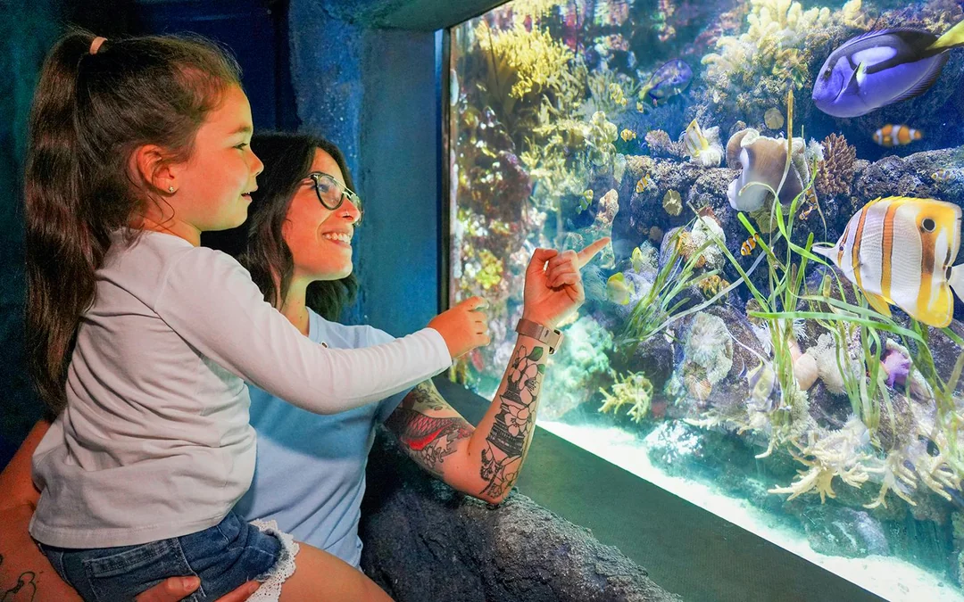 Gardaland Sea Life Aquarium Entry Tickets Image 3