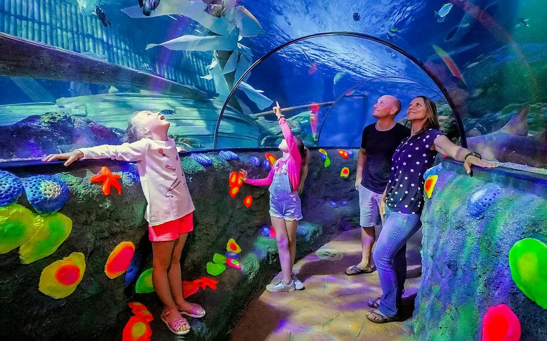 Gardaland Sea Life Aquarium Entry Tickets Image 4