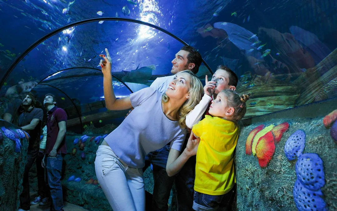 Gardaland Sea Life Aquarium Entry Tickets Image 5