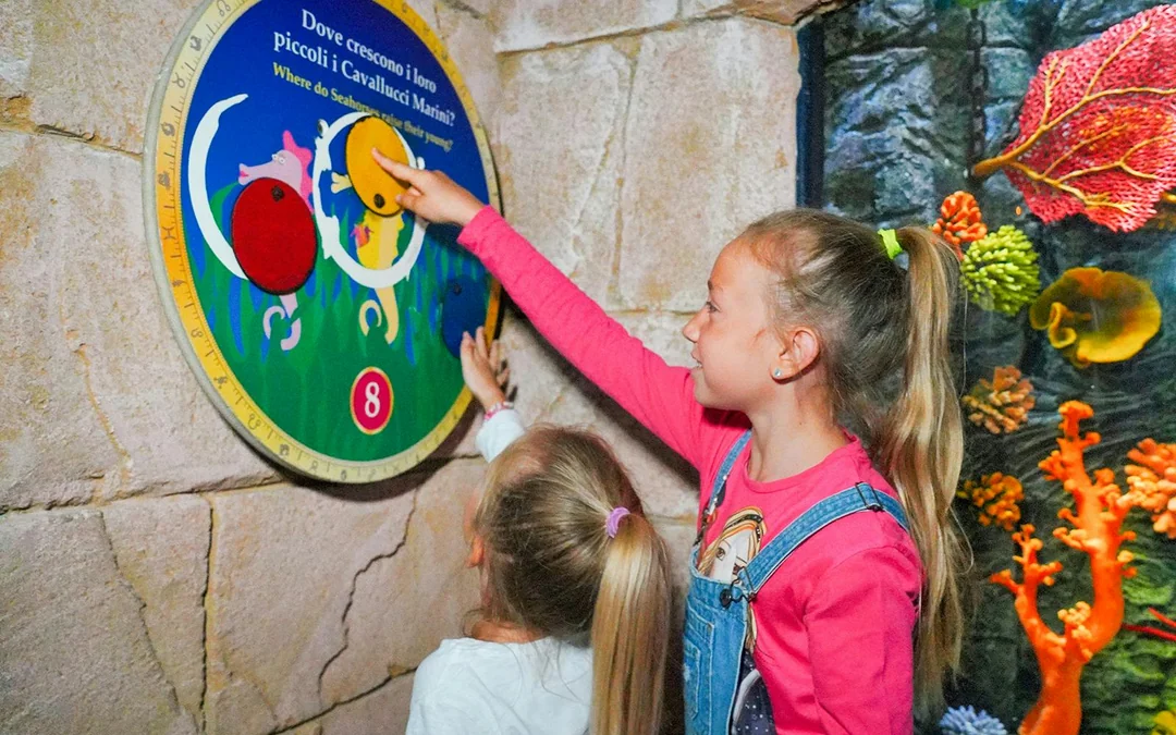 Gardaland Sea Life Aquarium Entry Tickets Image 7