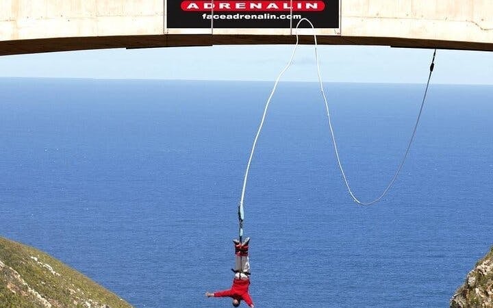 Garden Route Adventure Tour from Cape Town: Bungee Jump & Shark Cage Diving with Accommodation Image 3
