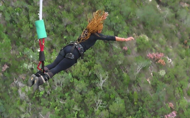 Garden Route Adventure Tour from Cape Town: Bungee Jump & Shark Cage Diving with Accommodation Image 6