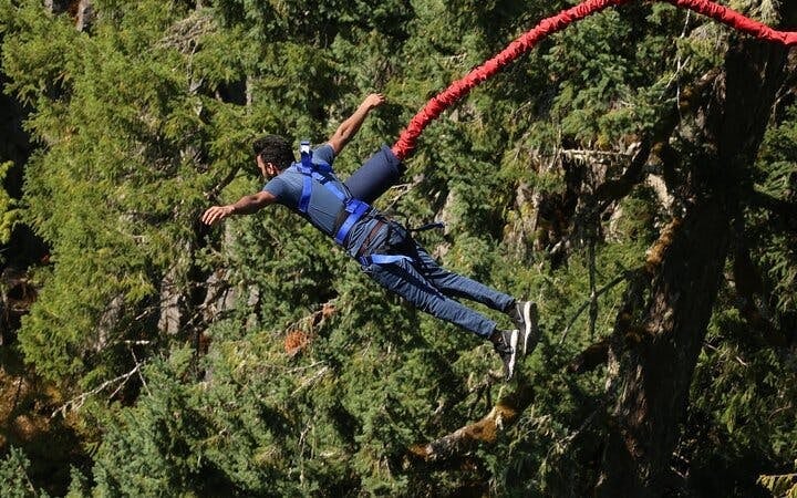 Garden Route Adventure Tour from Cape Town: Bungee Jump & Shark Cage Diving with Accommodation Image 9