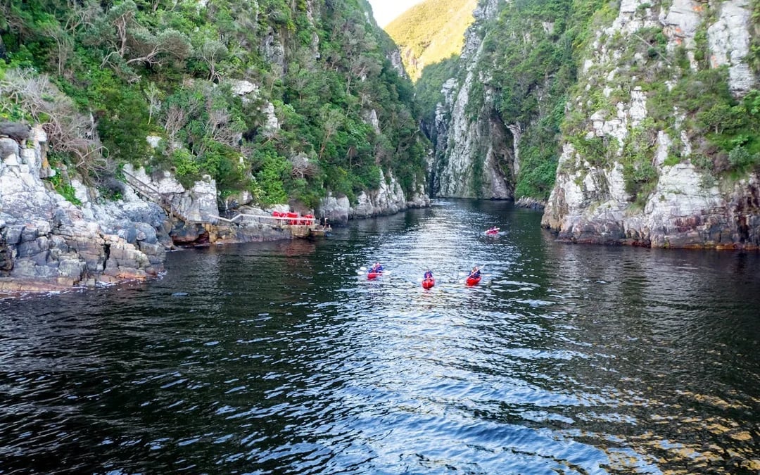 Garden Route Private Luxury Tour with 5-Star Accommodation and Big 5 Safari Image 3
