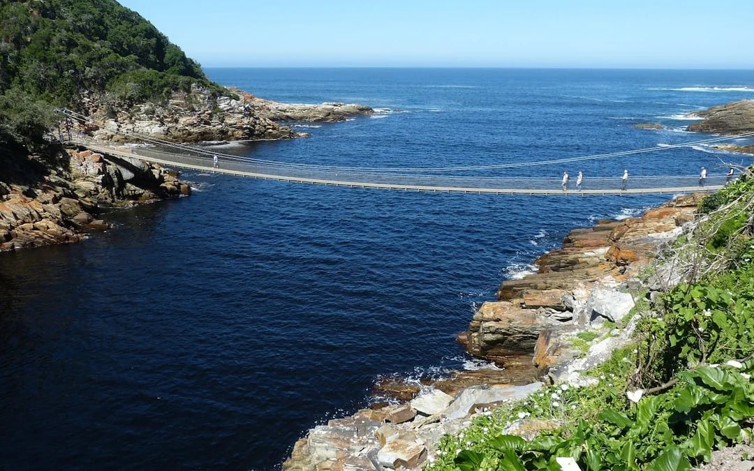 Garden Route Private Luxury Tour with 5-Star Accommodation and Big 5 Safari Image 6