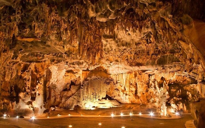 Garden Route Safari and Wildlife Tour from Cape Town with Oudtshoorn and Mossel Bay Visits Image 3