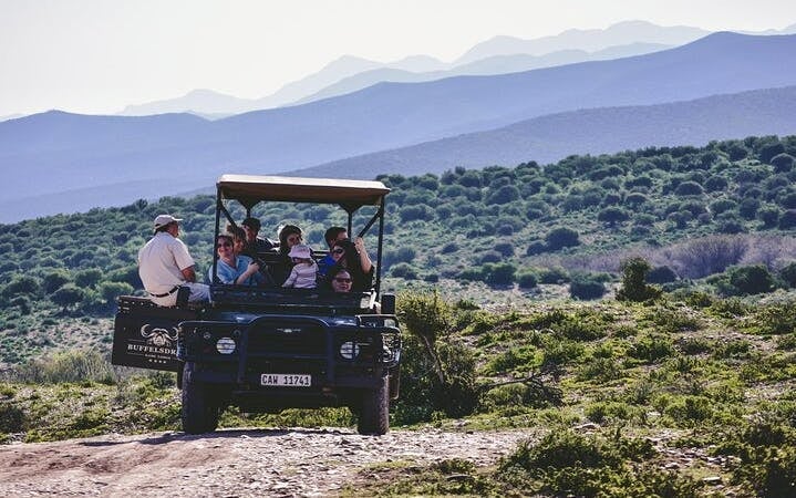 Garden Route Safari and Wildlife Tour from Cape Town with Oudtshoorn and Mossel Bay Visits Image 5