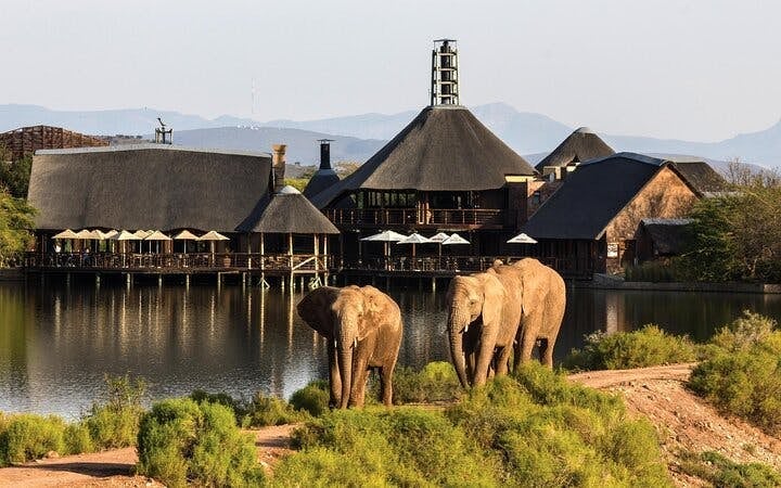 Garden Route Safari and Wildlife Tour from Cape Town with Oudtshoorn and Mossel Bay Visits Image 10