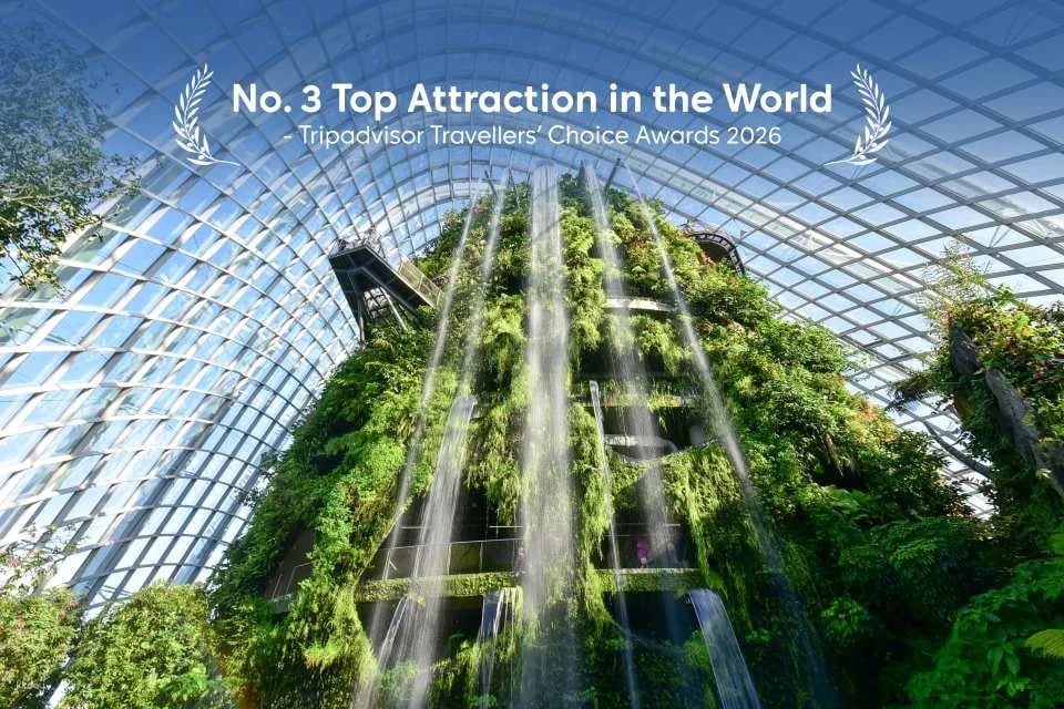 Gardens by the Bay Singapore