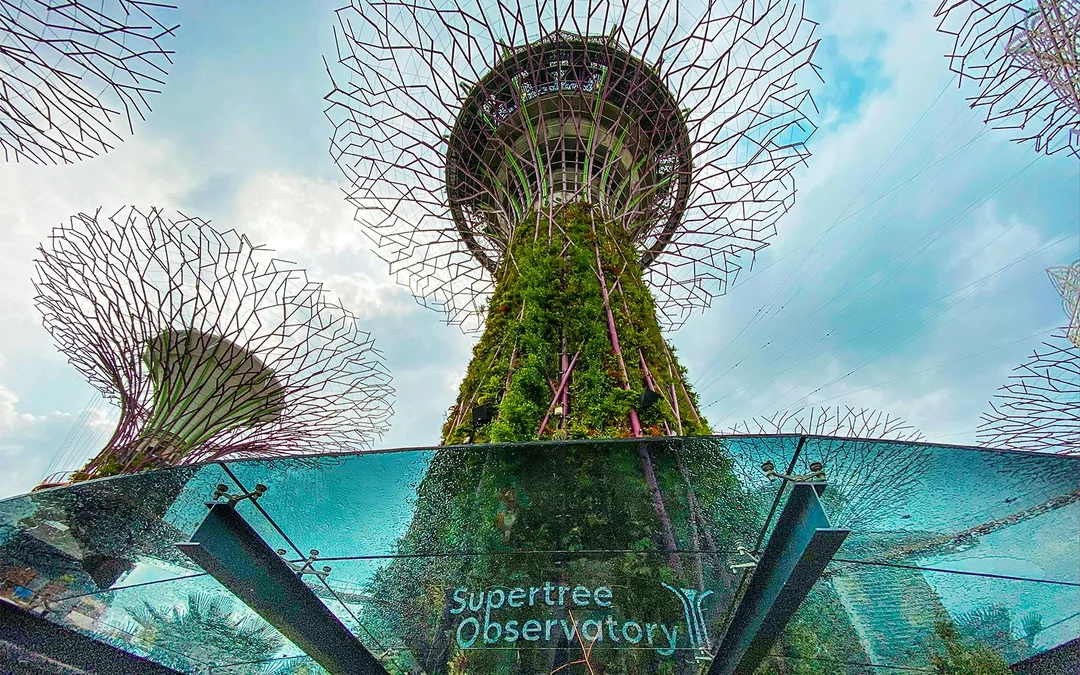 Gardens by the Bay Tickets: Cloud Forest (Jurassic World Experience) + Flower Dome + Supertree Observatory Image 12