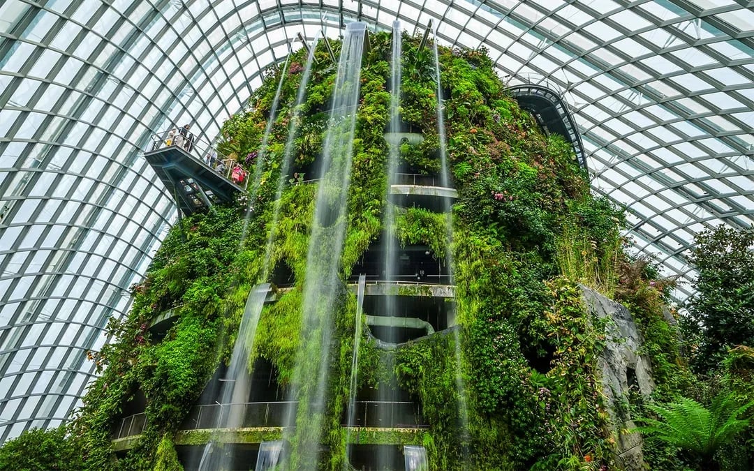 Gardens by the Bay Tickets: Cloud Forest (Jurassic World Experience) + Flower Dome Image 1