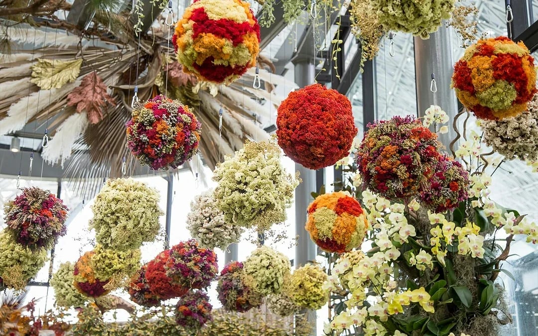 Gardens by the Bay Tickets: Cloud Forest (Jurassic World Experience) + Flower Dome Image 10