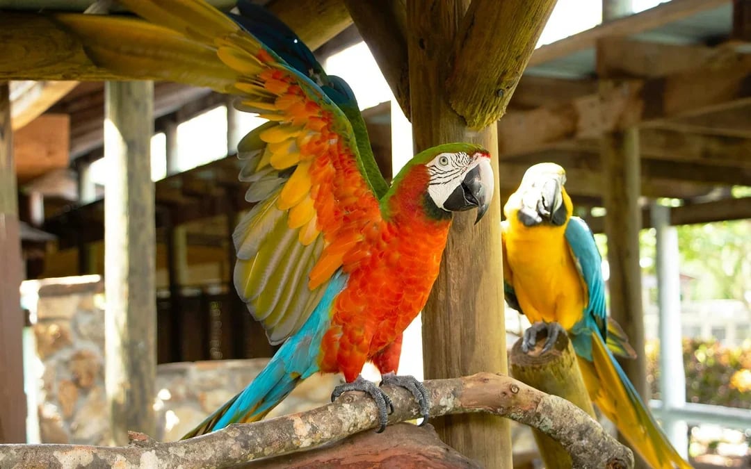 Gatorland Skip-the-Line Tickets Image 5