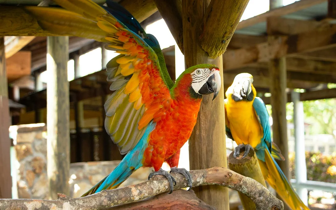 Gatorland Skip-the-Line Tickets Image 5