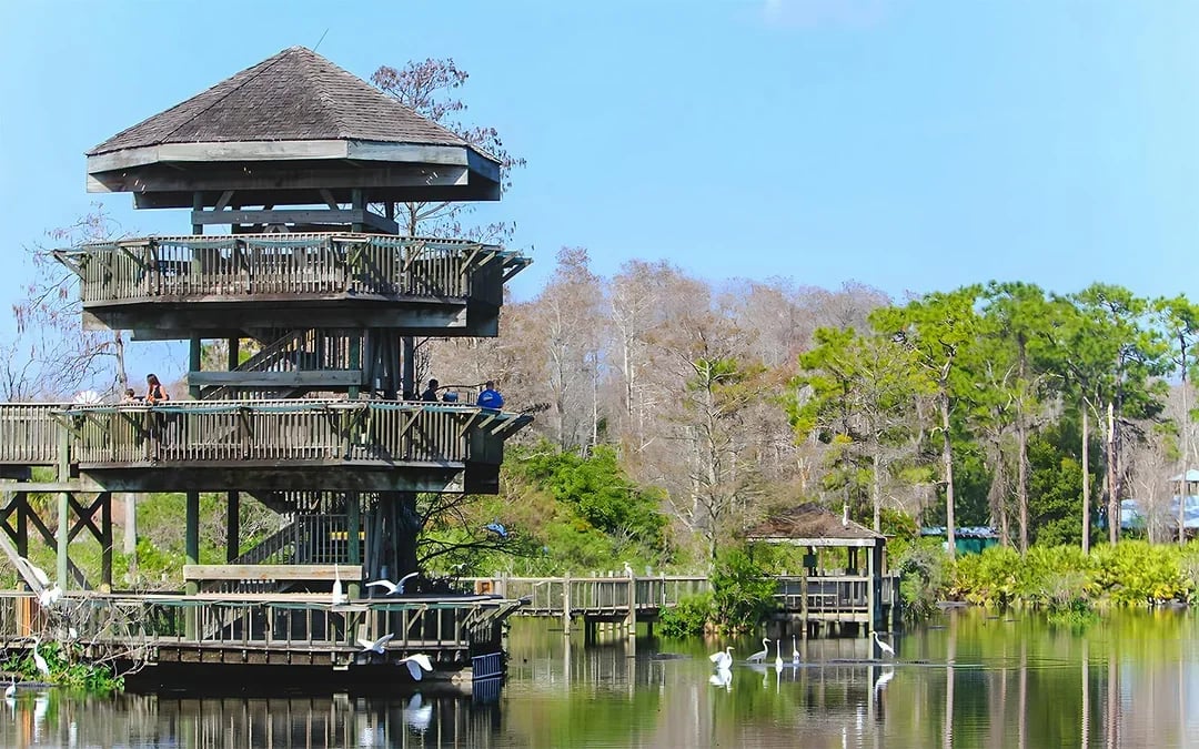 Gatorland Tickets with Screamin’ Gator Zip Line Access Image 7
