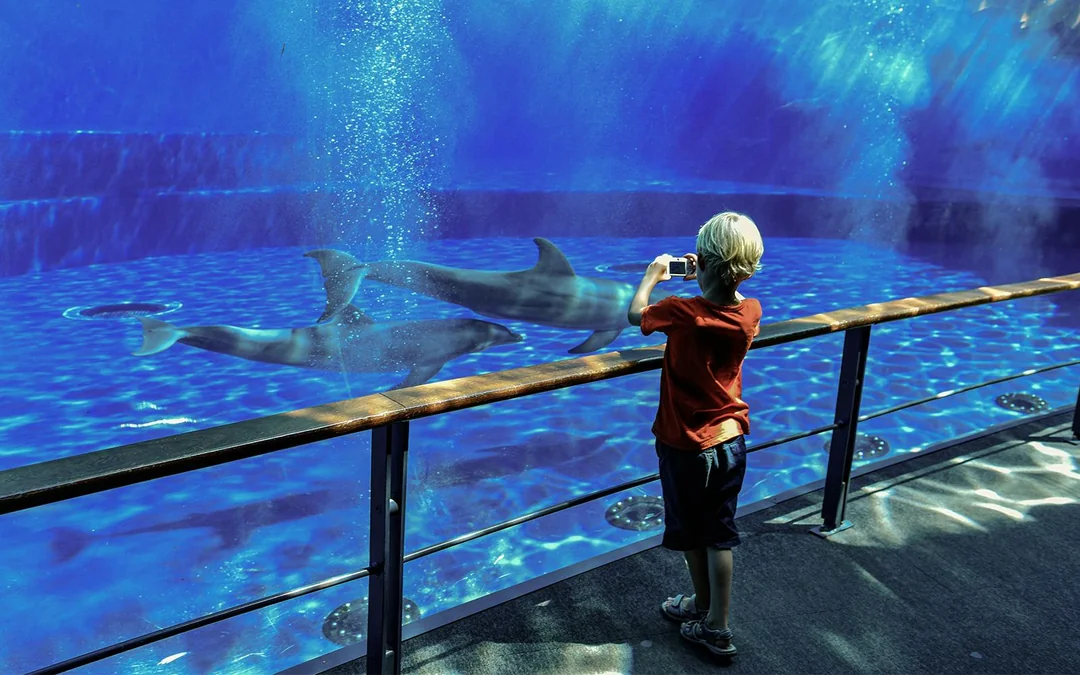 Genoa Aquarium Tickets Image 3