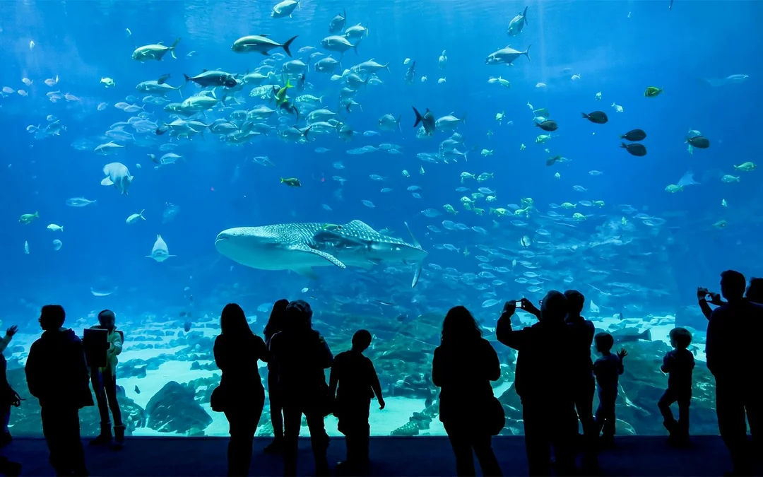 Georgia Aquarium Skip-the-Line Tickets Image 3