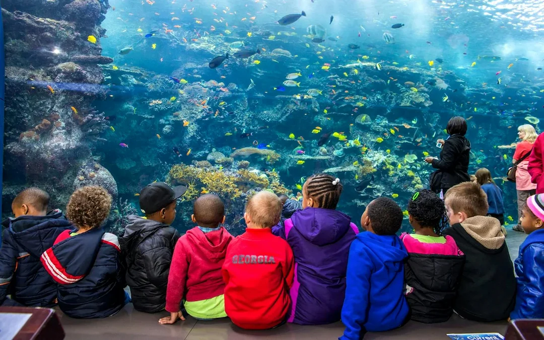 Georgia Aquarium Skip-the-Line Tickets Image 4