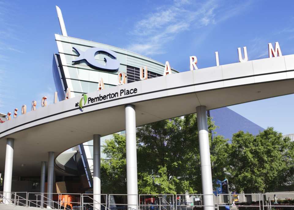 Georgia Aquarium Ticket | Atlanta