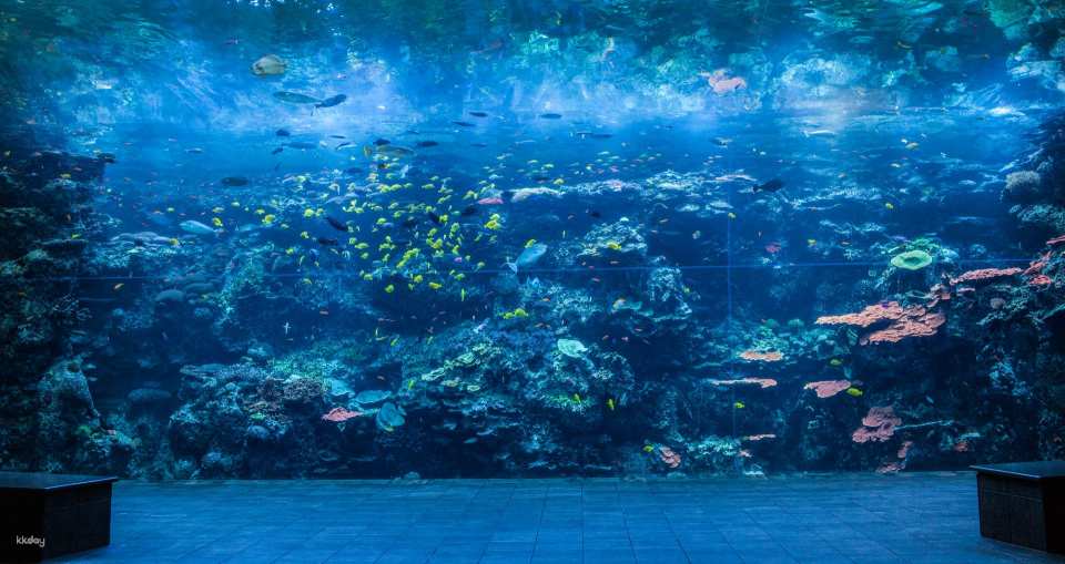 Georgia Aquarium Ticket | Atlanta