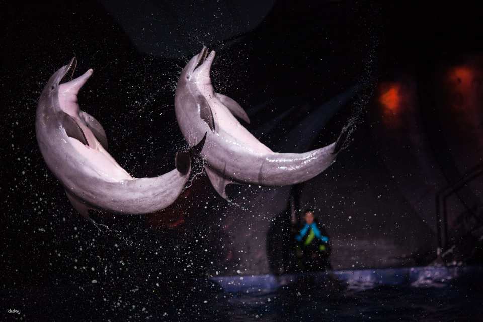 Georgia Aquarium Ticket | Atlanta