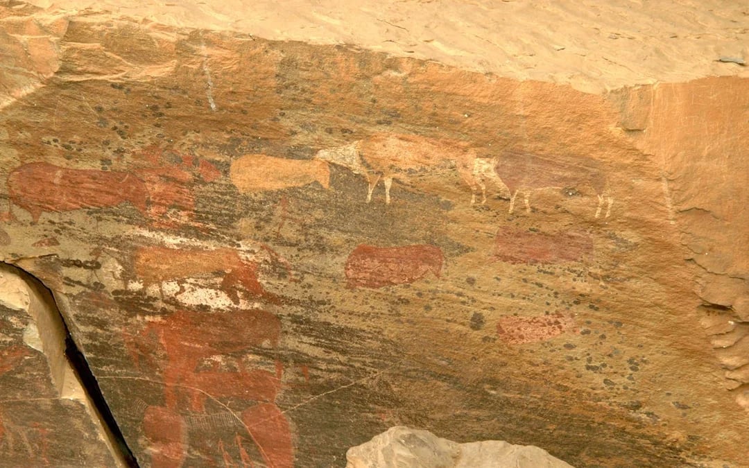 Giants Castle Cave Paintings, Howick Falls, and Nelson Mandela Capture Site Guided Day Tour with Hotel Transfers and Entrance Fees Image 6