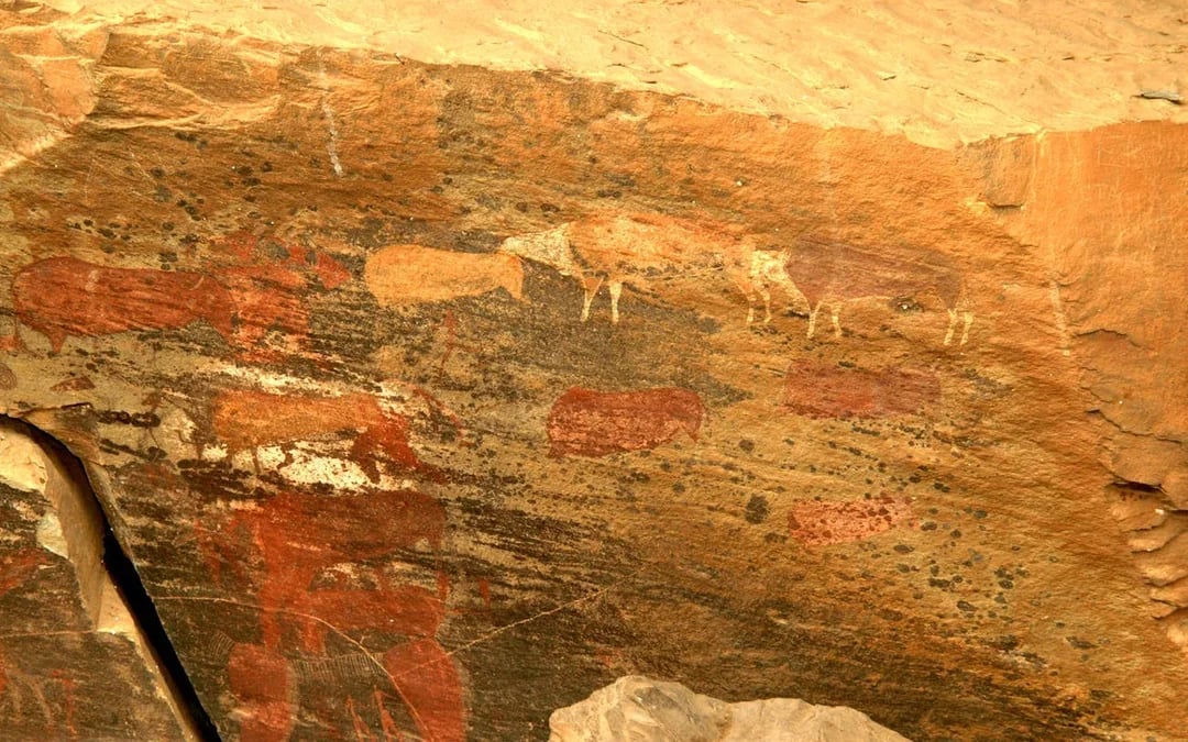 Giants Castle Cave Paintings, Howick Falls, and Nelson Mandela Capture Site Guided Day Tour with Hotel Transfers and Entrance Fees Image 8