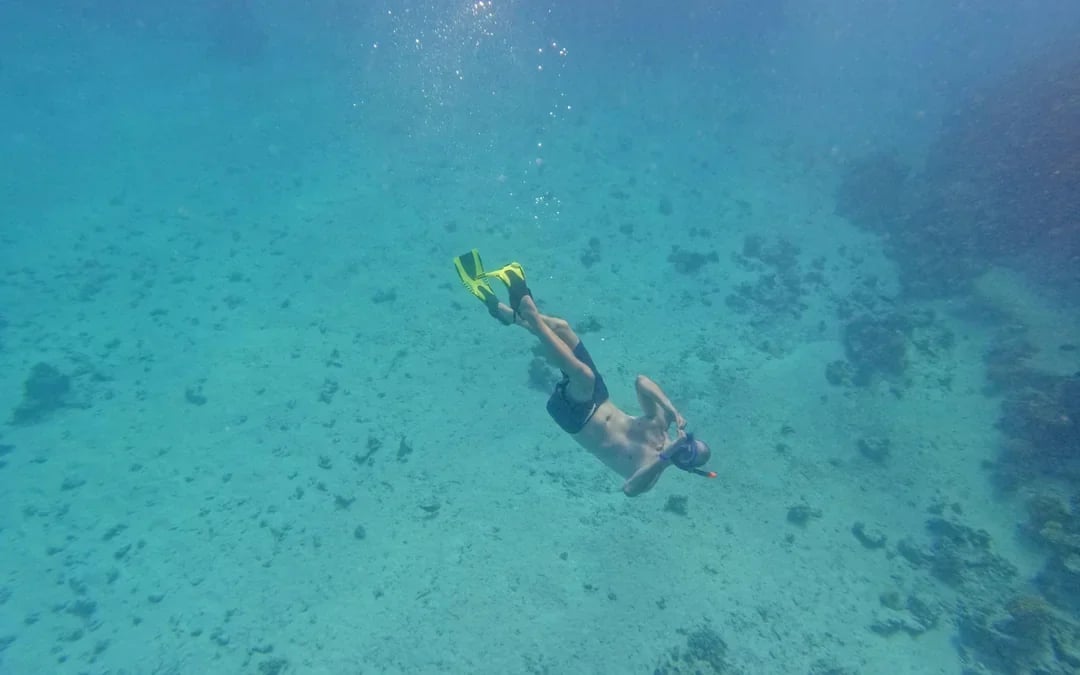 Giftun 3 Islands Yacht Tour with Dolphin Watching, Snorkeling, Lunch & Transfers Image 11