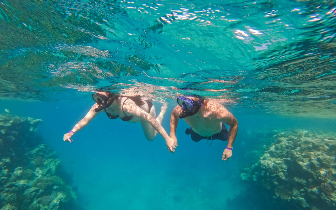 Giftun 3 Islands Yacht Tour with Dolphin Watching, Snorkeling, Lunch & Transfers Image 3