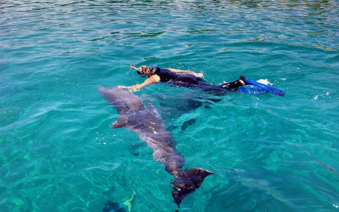 Giftun 6 Islands Speedboat Tour with Dolphin Watching, Snorkeling, Lunch & Transfers Image 1
