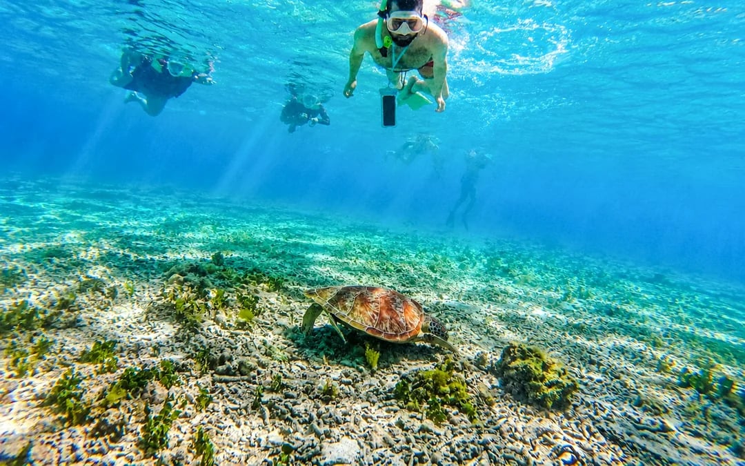 Gili Trawangan Private Glass-Bottom Boat Snorkeling Tour to Gili Meno Image 5