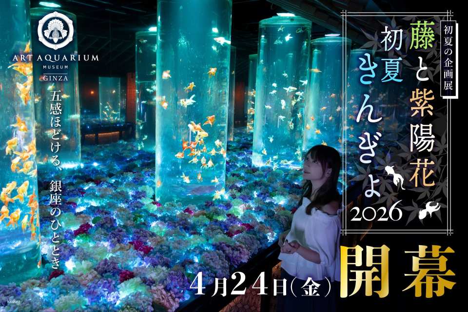 Ginza Art Aquarium + Tokyo Metro 24-Hour Pass