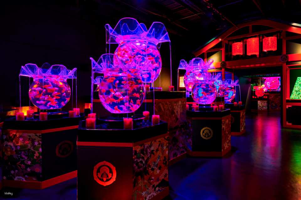 Ginza Art Aquarium + Tokyo Metro 24-Hour Pass