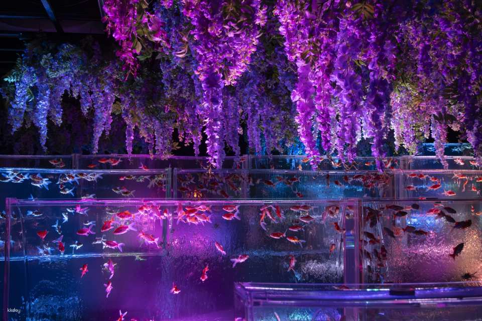 Ginza Art Aquarium + Tokyo Metro 24-Hour Pass